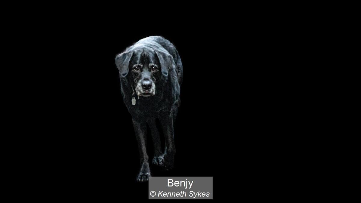 13_Benjy_Kenneth Sykes